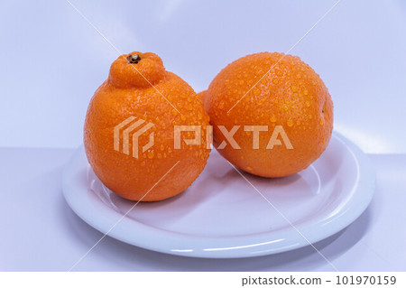 Orange that looks delicious 101970159