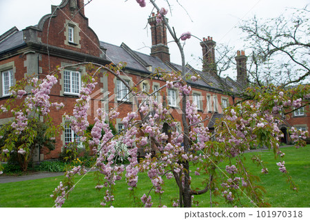 溫徹斯特 101970318