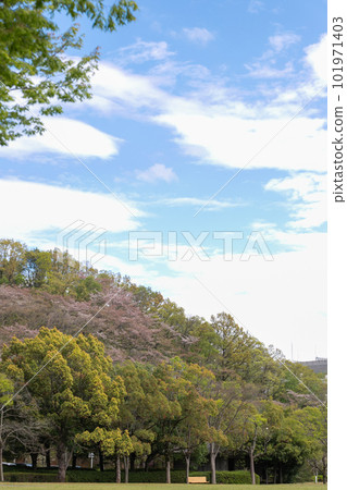 草甸富山 101971403