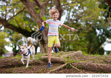 Child and dog walk in summer park 101971416