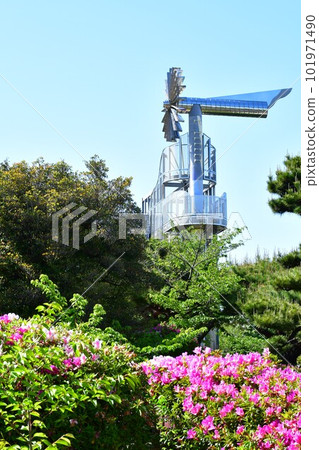 春天的桃山公園 春天的桃山公園 101971490