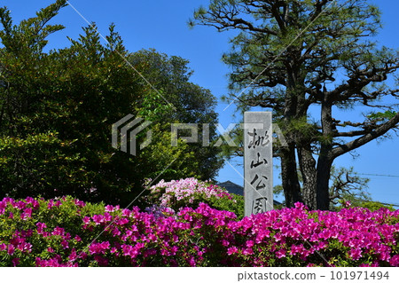 春天的桃山公園 101971494