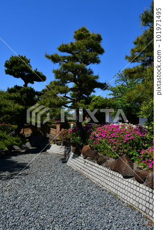 春天的桃山公園 春天的桃山公園 101971495