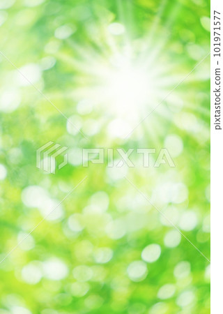 Fresh green ball bokeh and sunshine filtering through foliage Fresh green ball bokeh and sunshine filtering through foliage 101971577