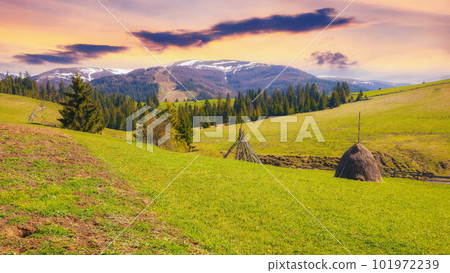 serene sunset over rural field. green meadow on the hill. mountain ridge in the distance 101972239