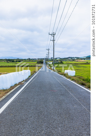 Sugar Road, Kohama Island, Okinawa Prefecture 101972731