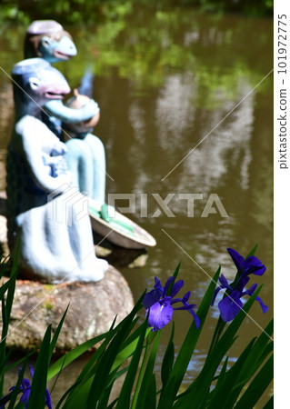 Okura Park in spring 101972775
