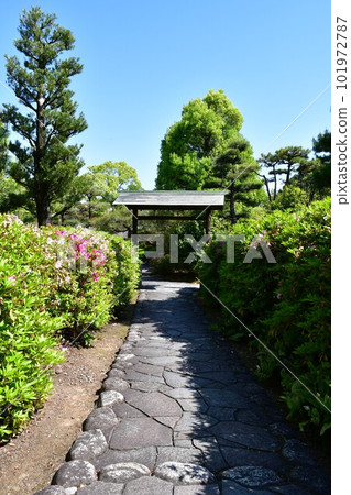 Okura Park in spring 101972787