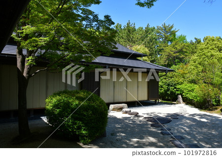 Okura Park in spring 101972816