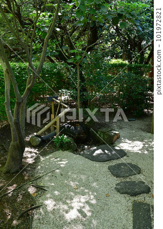 Okura Park in spring 101972821