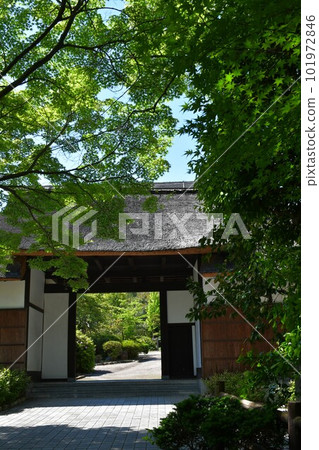 春天的大倉公園 春天的大倉公園 101972846