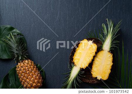 Bromeliad tropical leaves penglai banana background turtle leaf pineapple background パ イ ナ ッ プ ル 101973542