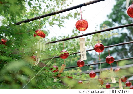 感受夏天的風鈴 101973574