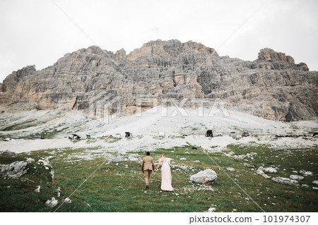 Wedding couple holding hands, groom and bride together on wedding day 101974307