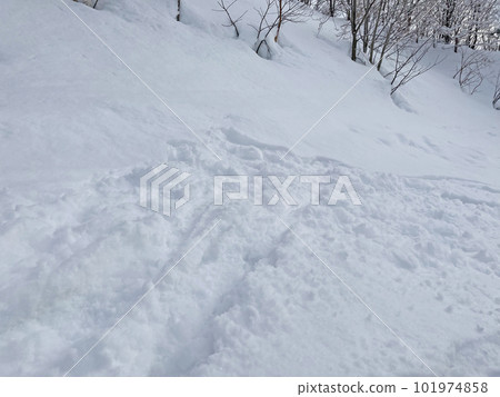 Fluffy powder snow at the ski resort 101974858