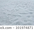 春季滑雪顆粒狀雪 101974871