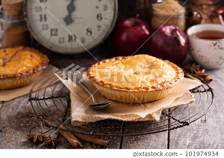 Apple pie with brown sugar and cinnamon Apple pie with brown sugar and cinnamon 101974934
