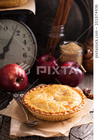 Apple pie with brown sugar and cinnamon Apple pie with brown sugar and cinnamon 101974936
