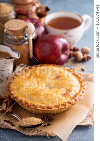 Apple pie with caramel syrup and cinnamon Apple pie with caramel syrup and cinnamon 101974941