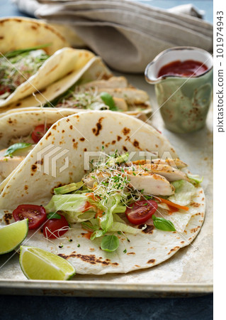 Chicken tacos with salad and tomatoes 101974943