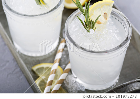 Lemon rosemary cocktail on a tray Lemon rosemary cocktail on a tray 101975278