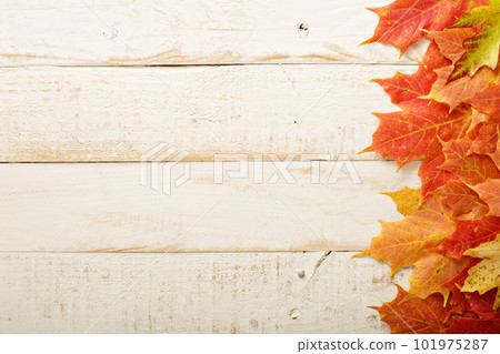 Fall leaves frame on whooden background 101975287