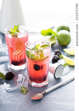 Blackberry and lime refreshing summer cocktail Blackberry and lime refreshing summer cocktail 101975399