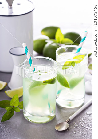 Refreshing cold cocktail with mint and limes 101975456