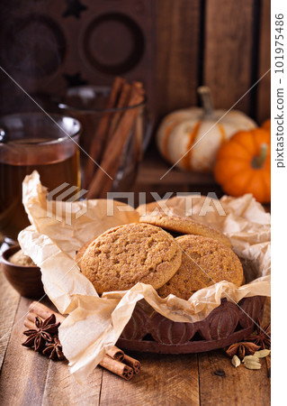 Pumpkin cinnamon snickerdoodle cookies Pumpkin cinnamon snickerdoodle cookies 101975486