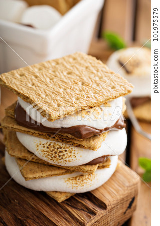 Picnic dessert smores with marshmallows 101975579