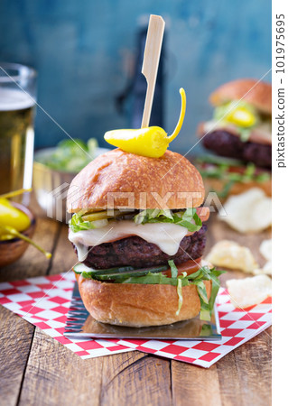 Beef burger with vegetables and cheese 101975695
