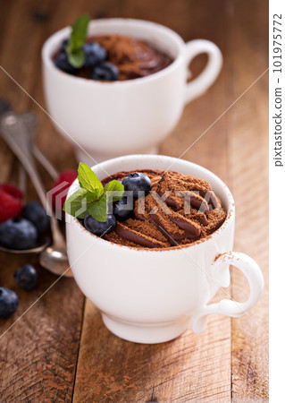 Chocolate pudding with cocoa and berries 101975772