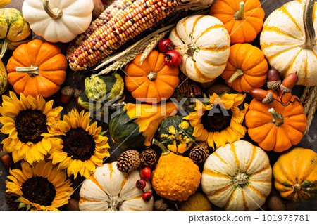 Fall background with pumpkins Fall background with pumpkins 101975781