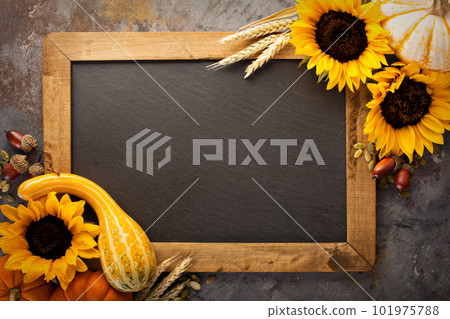 Fall chalkboard frame with pumpkins Fall chalkboard frame with pumpkins 101975788