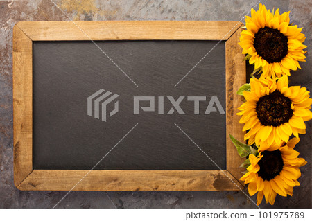 Fall chalkboard frame with pumpkins 101975789