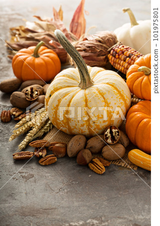 Fall copyspace with decorative pumpkins 101975801