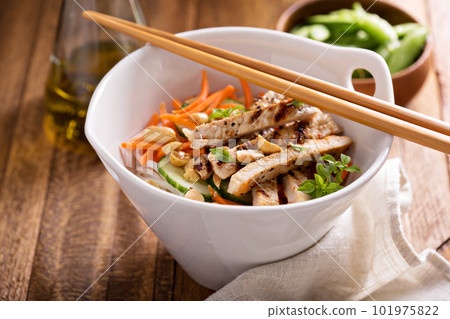 Asian cuisine chicken salad Asian cuisine chicken salad 101975822