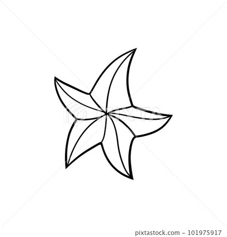 Starfish in flat style. Marine icon in cartoon style. Summer vector illustration. 101975917