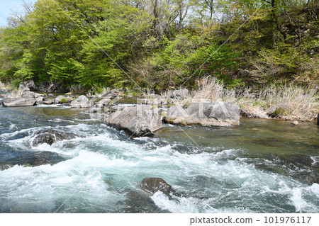 那珂川清流的景色【栃木縣那須鹽原市】 101976117