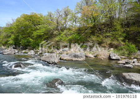 那珂川清流的景色【栃木縣那須鹽原市】 那珂川清流的景色【栃木縣那須鹽原市】 101976118