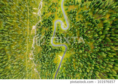 Aerial view of unveils a twisted path meandering through a lush summer forest Aerial view of unveils a twisted path meandering through a lush summer forest 101976857