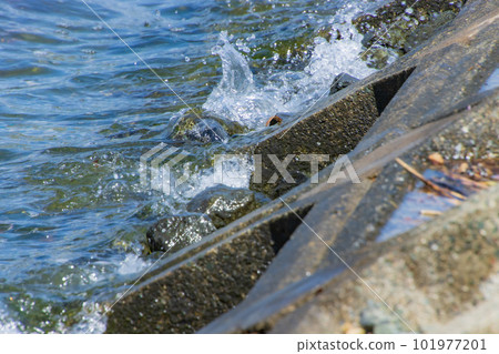 waves hitting the breakwater 101977201