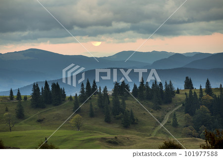 Covered with mist mountains at moonrise, big moon on bright orange sky over tall fir-trees. 101977588