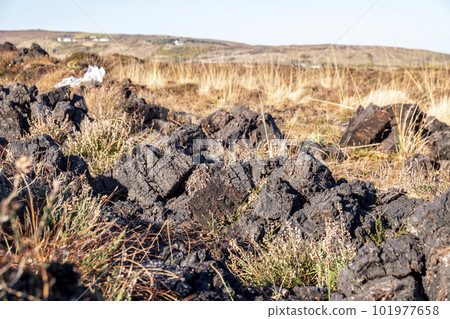 Peat Turf cutting in County Donegal - Ireland Peat Turf cutting in County Donegal - Ireland 101977658
