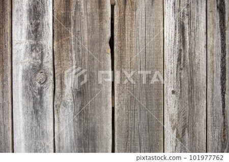 Close-up of natural old vintage weathered gray brown unpainted solid wooden fence or gate of planks and boards. Ecological texture vertical copy space sunny crackled background. Close-up of natural old vintage weathered gray brown unpainted solid wooden fence or gate of planks and boards. Ecological texture vertical copy space sunny crackled background. 101977762
