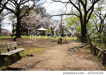 佐野市城山公園(佐野城跡) 本丸散步道和涼亭 佐野市城山公園(佐野城跡) 本丸散步道和涼亭 101978293