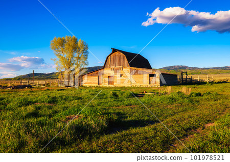 Historic John Moulton Barn at Mormon Row in Grand Teton National Park, Wyoming 101978521