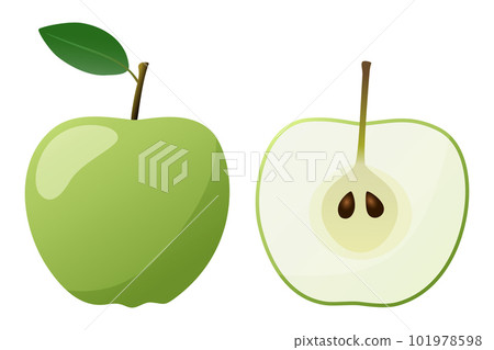 Green apple isolated on white background 101978598