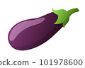 Eggplant isolated on white background 101978600