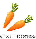 Two carrots isolated on white background 101978602